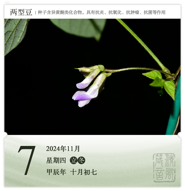 1730187676698706.png 箴历日历11-7.png