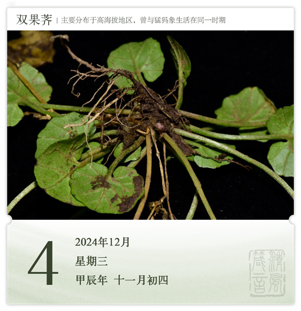 1732868202648679.png 箴历日历12-4.png