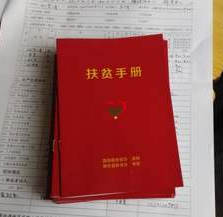 凯发k86.9万建档立卡残疾人实现脱贫