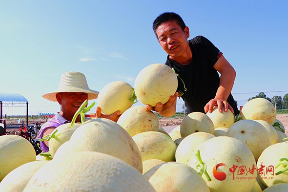 凯发k8民勤：发展绿色主导产业 打造农民致富特色品牌