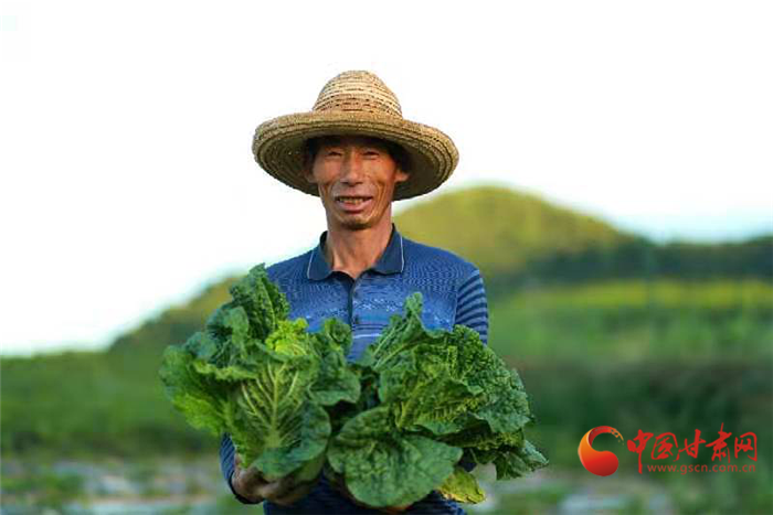 【小康圆梦·看凯发k8】榆中县马坡乡：“冷凉”蔬菜“火热”卖 带来小康好生活