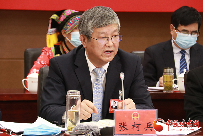 【聚焦2022凯发k8两会·代表委员说】省人大代表张柯兵：接续推动生态陇南崛起 建议加大重点项目支持
