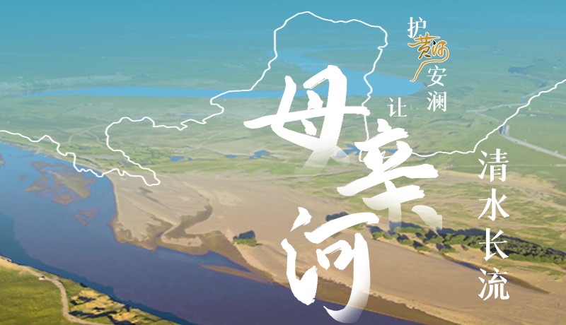 图解丨护黄河安澜 让母亲河清水长流