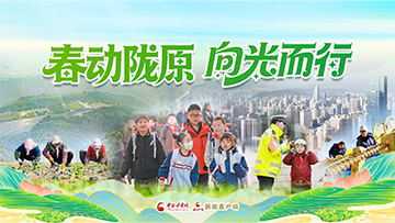 【专题】春动陇原 向光而行 